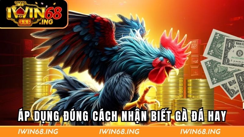 Áp dụng đúng cách nhận biết gà đá hay tăng thắng lớn