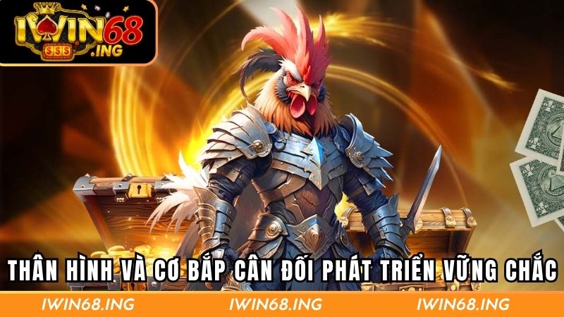 Đặc điểm thân hình và cơ bắp cân đối phát triển vững chắc