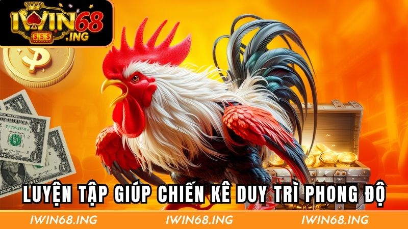 Luyện tập giúp chiến kê duy trì phong độ