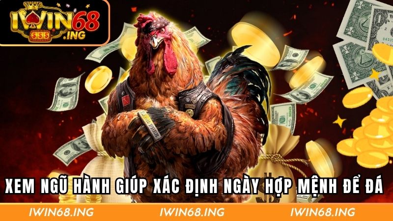 Xem ngũ hành giúp xác định ngày hợp mệnh để đá